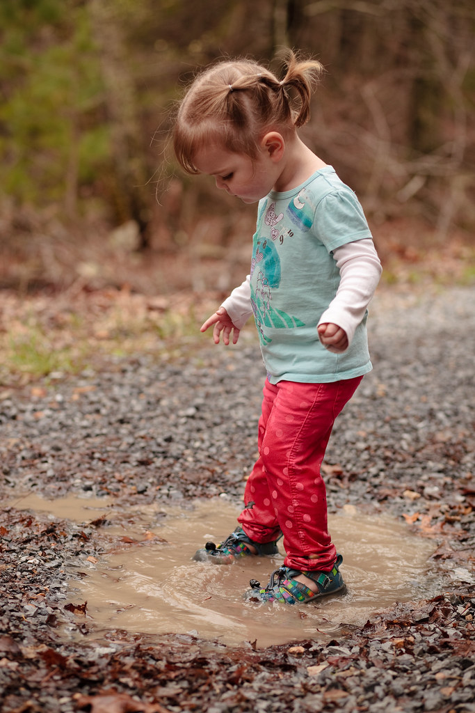 A morning exploring, Brown's Gap, Grottoes, Virginia Flickr