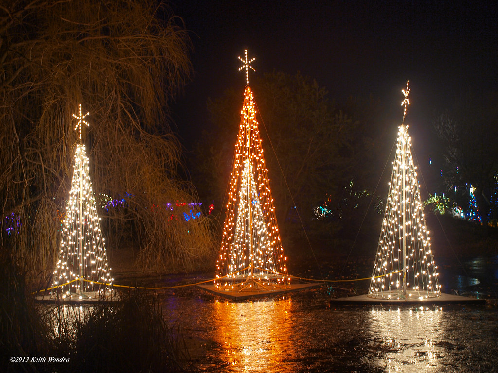 Trees Christmas trees on pond in the Jayne Milburn Aquatic… Flickr