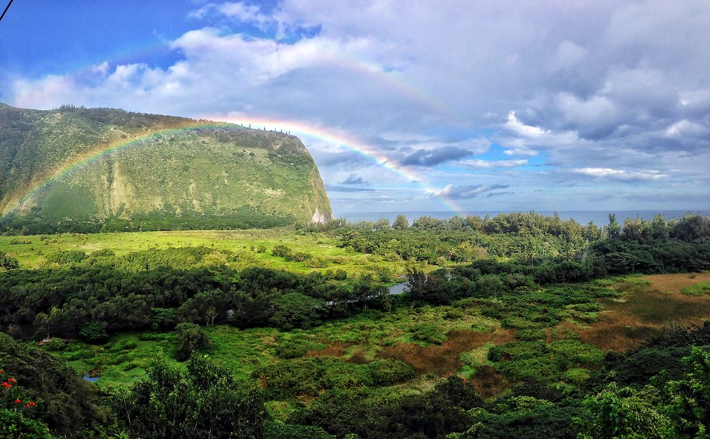 Big Island Christmas Laura McHugh Flickr