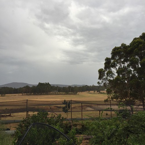 28/365 The view over farmland towards Mt Lindsay from our … Flickr