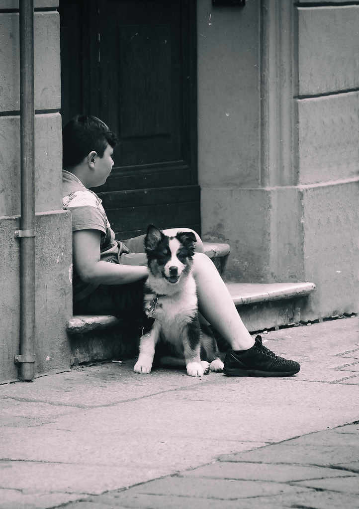 We Ll Share The Shelter Of My Single Bed We'll share the shelter, of my single bed We'll share the &hellip; Flickr