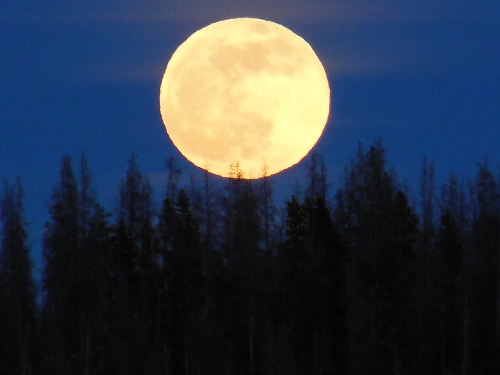 Lynx Pass Ranch 013 kcdana2003 Flickr