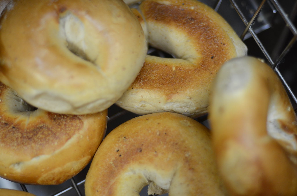 Brooklyn Water Bagels Delray Beach, FL www.northofmiami.… East of