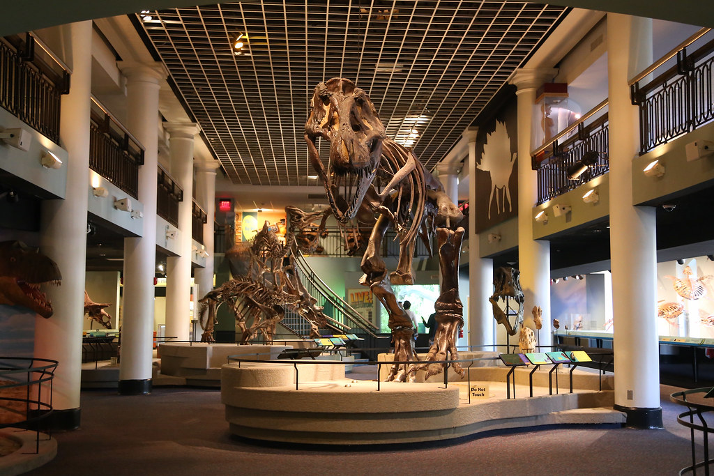 IMG_4964 Academy of Natural Science of Drexel University