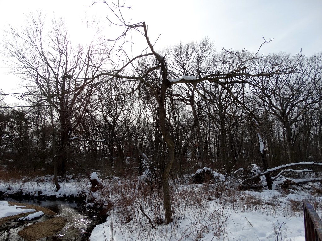 Brookside Preserve (27) "New York" "Long Island" Baldwin "… Flickr