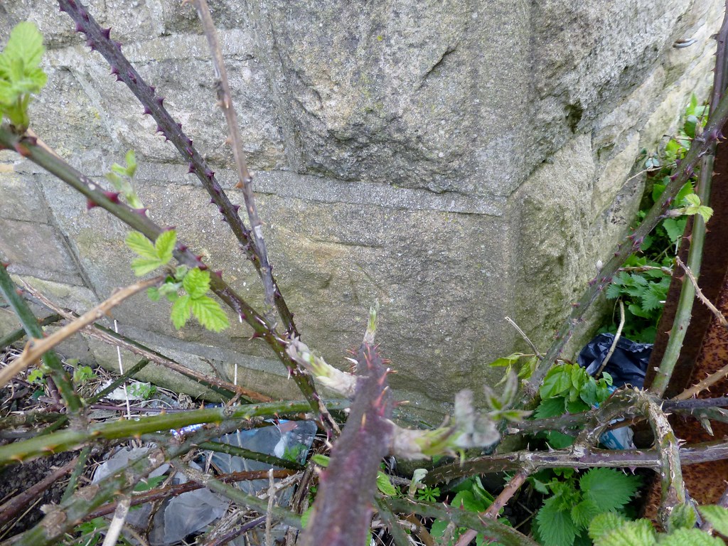 Cut Mark Lancaster, New Quay Road, Former Factory Flickr