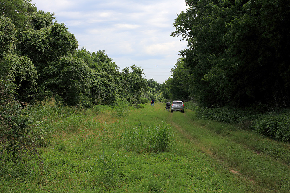 Hornsby Bend A day of dragonflies at Hornsby Bend. June 20… Flickr