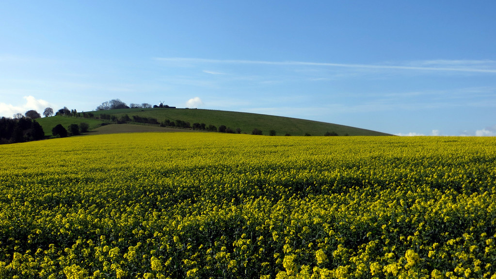 Windmill Hill, Clanfield caroline anderson Flickr