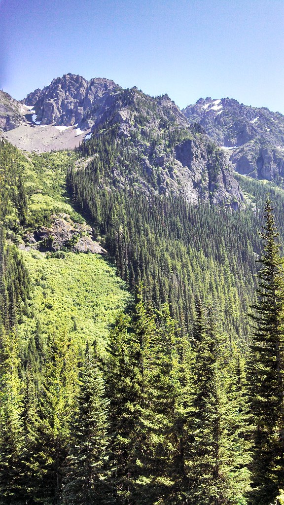 Iron Mountain and Buckhorn Mountain, Olympic National Fore… Flickr