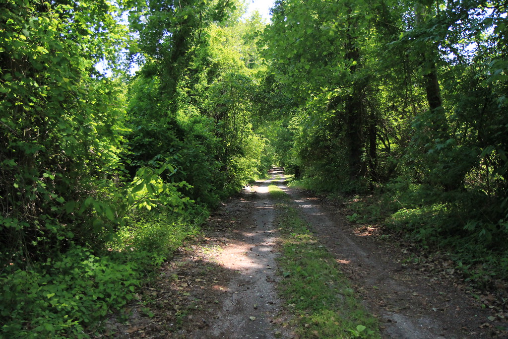 Elevation of Guinea Mill Run Canal, Moyock, NC, USA Topographic Map
