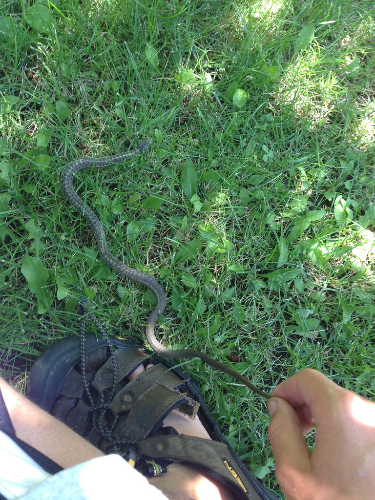 Untitled Wallace Ingram Flickr