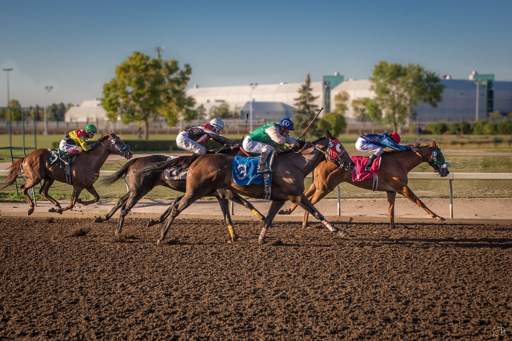 Horse racing Horse racing at Northlands Park, Edmonton, AB… JD2119