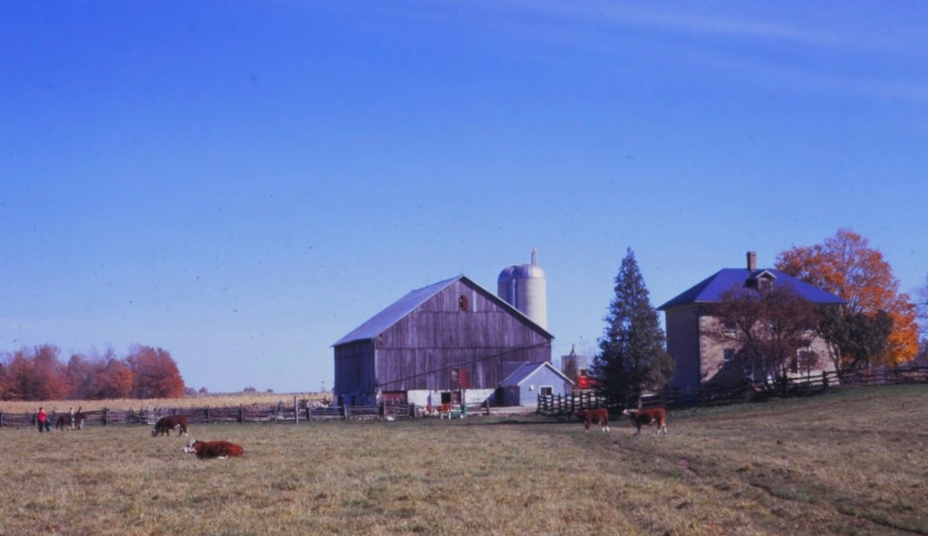 Mount Forest Farm Mount Forest, Ontario 1968 jmaxtours Flickr
