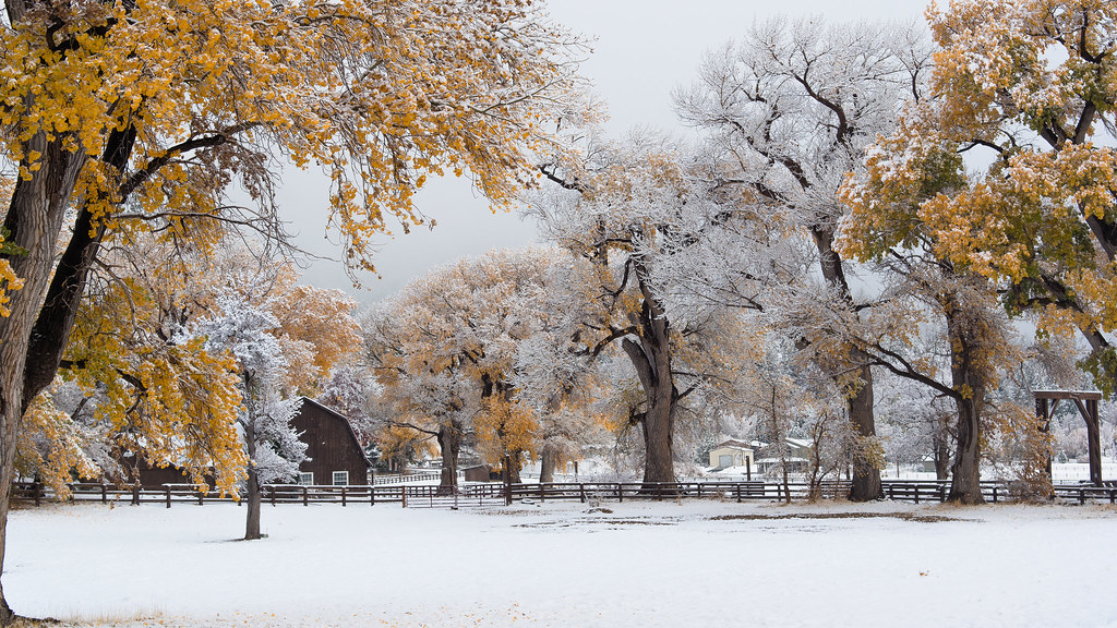 First Snow in Washoe Valley, NV Samsung NX1000 Kit Lens Flickr
