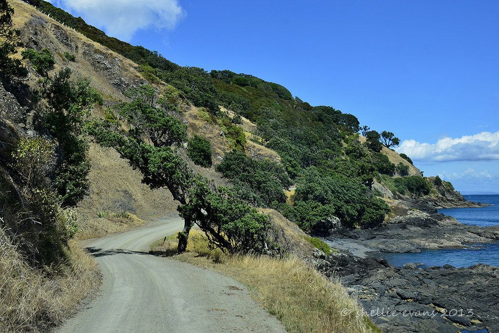 The Road to Port Jackson, Coromandel We had to keep an eye… Flickr