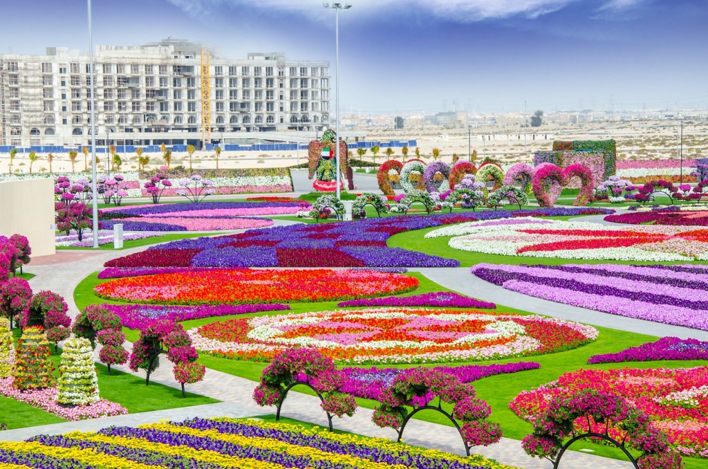 Dubai Miracle Garden Dubai Miracle Garden, The most beauti… Flickr