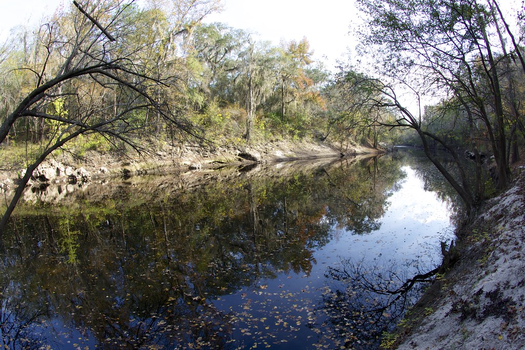 Alapaha River Alapaha River just upstream from it's Dead R… Flickr