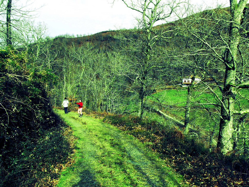 Bosque Etxalar peroguita Flickr