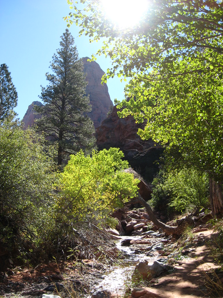 Taylor Creek Trail, Kolob, Zion National Park andymacnam Flickr