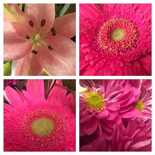 Flowers make me happy. spring nofilter michellek107 Flickr