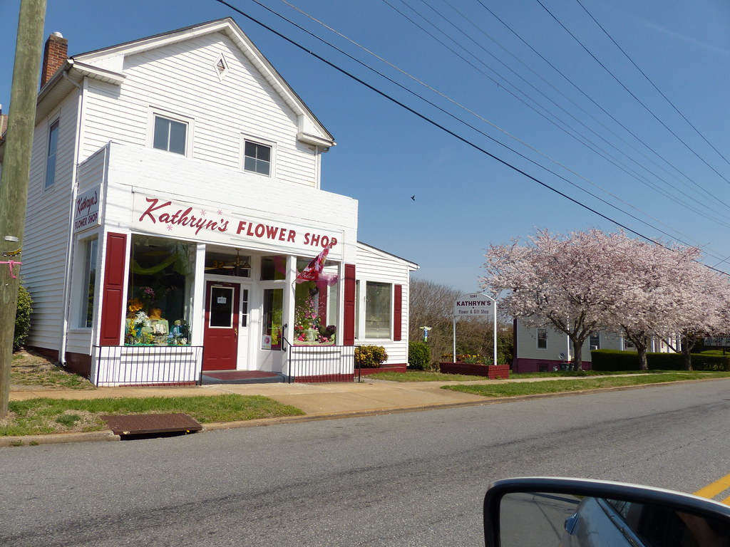 Fort Avenue driveby shot Lynchburg, Virginia Kipp Teague Flickr