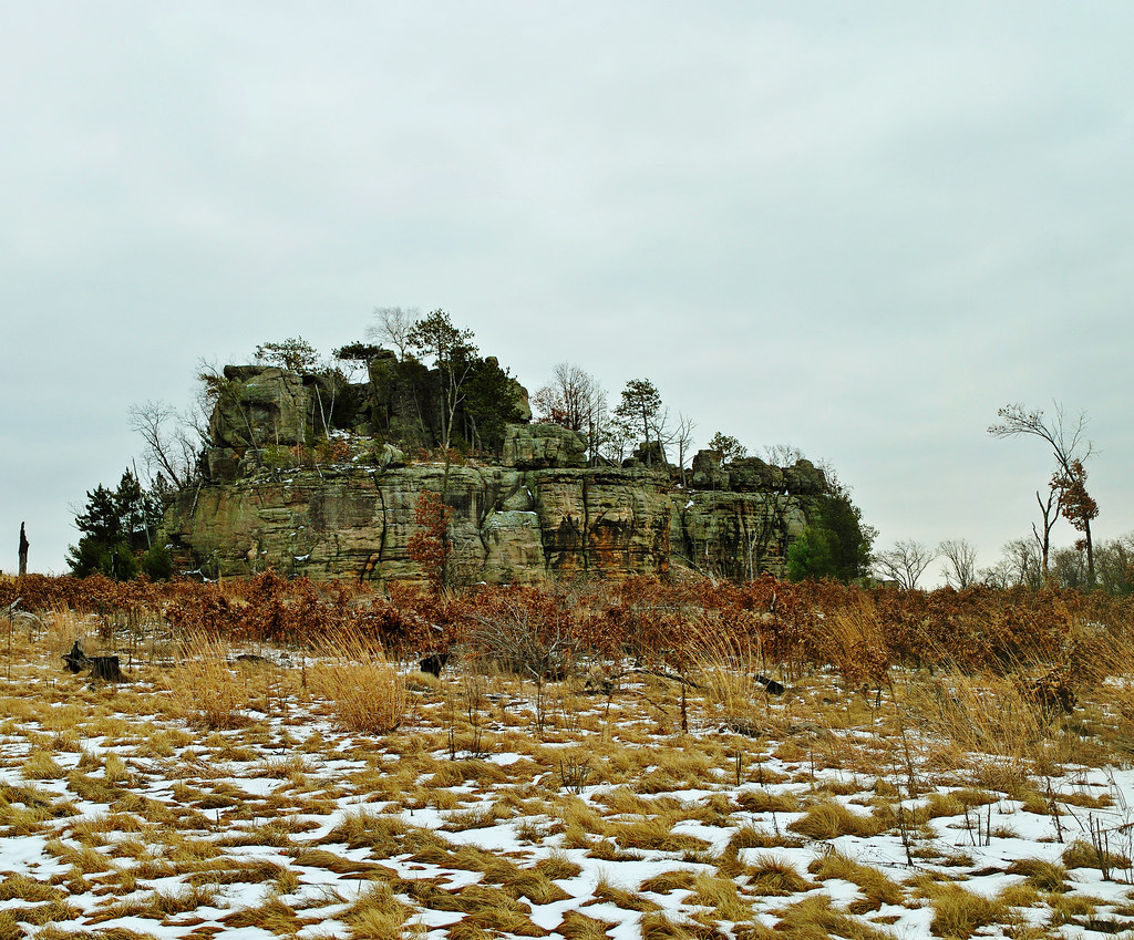 Rattlesnake Mound Quincy Bluff & Wetlands State Natural Ar… Flickr