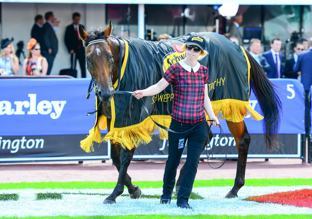 2014 Super Saturday at Flemington racecourse Winner of Rac… Flickr
