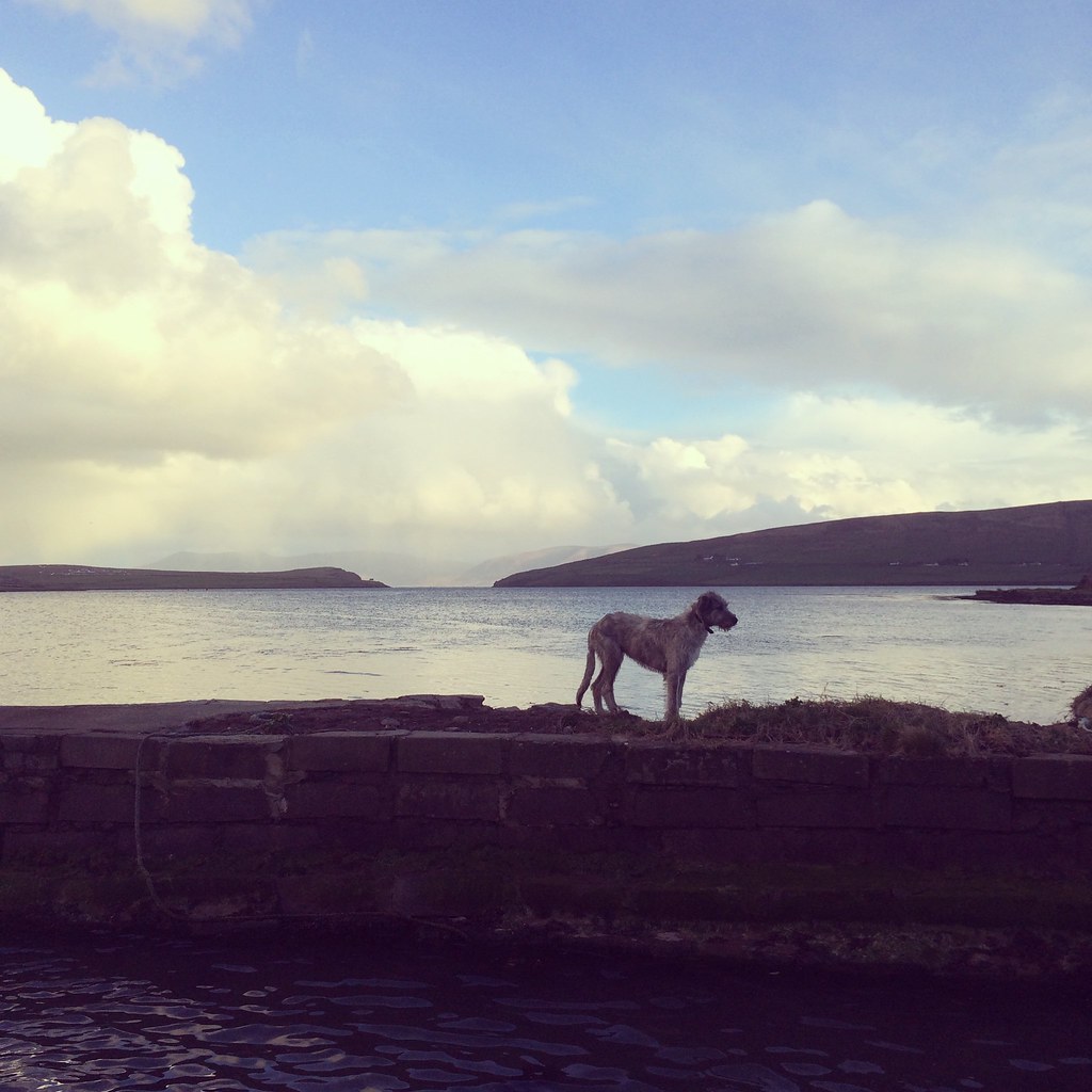 Milltown House, Guesthouse, Dingle, Kerry, Ireland Flickr