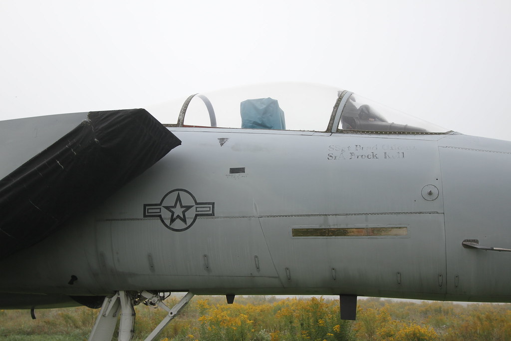 IMG_9229 Wings of Eagles Discovery Center Big Flats, NY … Flickr