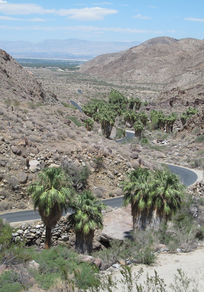 Agua Caliente Indian Reservation Palm Springs rocor Flickr
