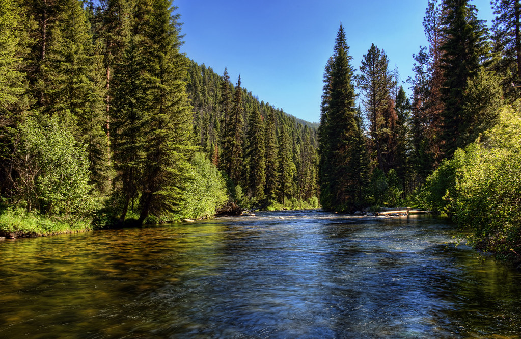 Montana River Beautiful river in the Bitterroot Mountains … Flickr