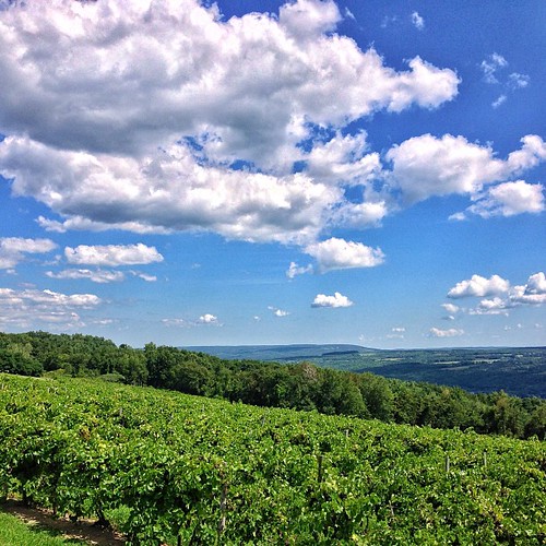 Elevation of Mattoon Rd, Prattsburgh, NY, USA Topographic Map