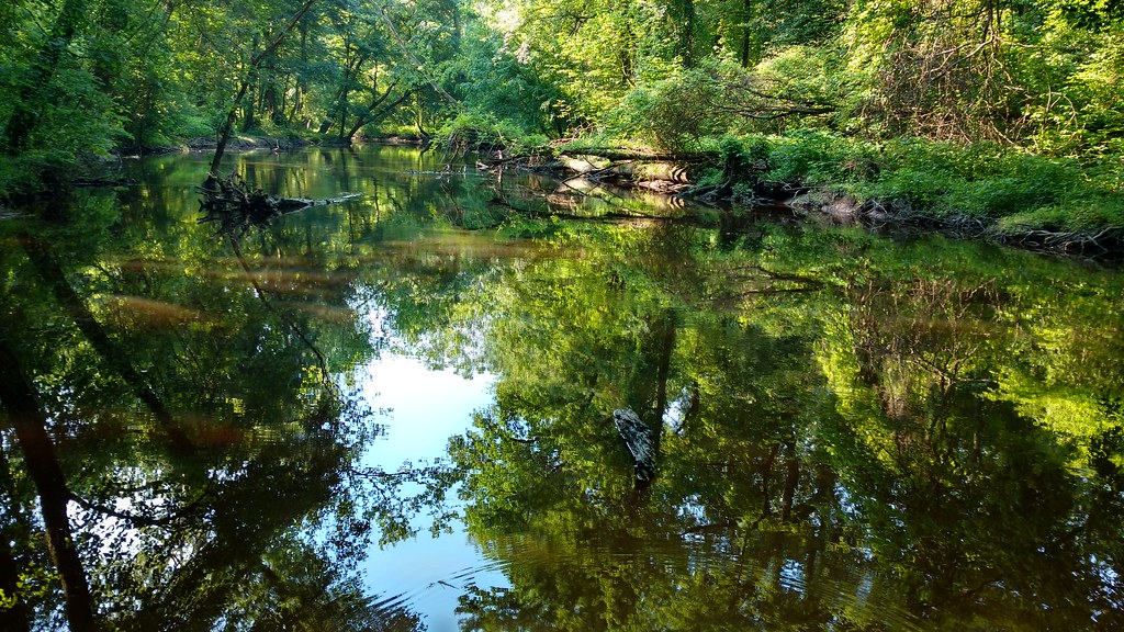 Tuckahoe Creek, MD Tuckahoe State Park Smartweed Flickr