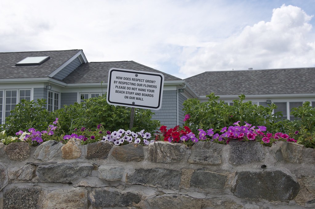 Your flowers smell like poop. Johna Klebenov Flickr