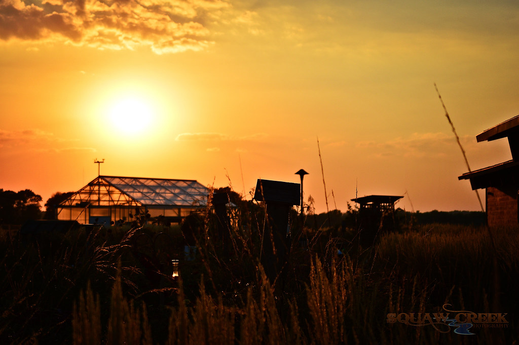 Sunset Greenhouse Photos taken at Lowe Park in Marion Iowa… Flickr