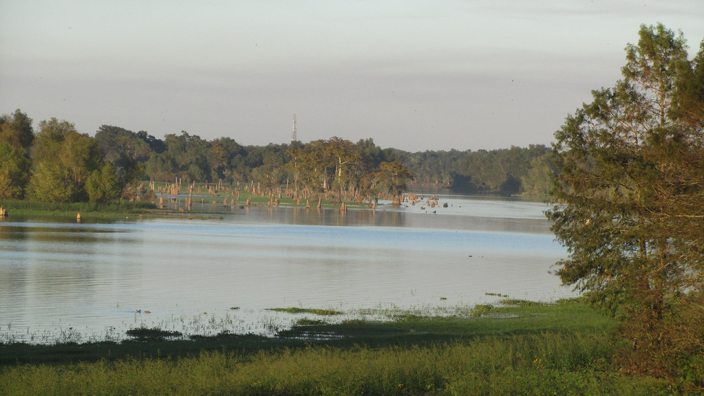 IMG_9824 Louisiana Jones Flickr