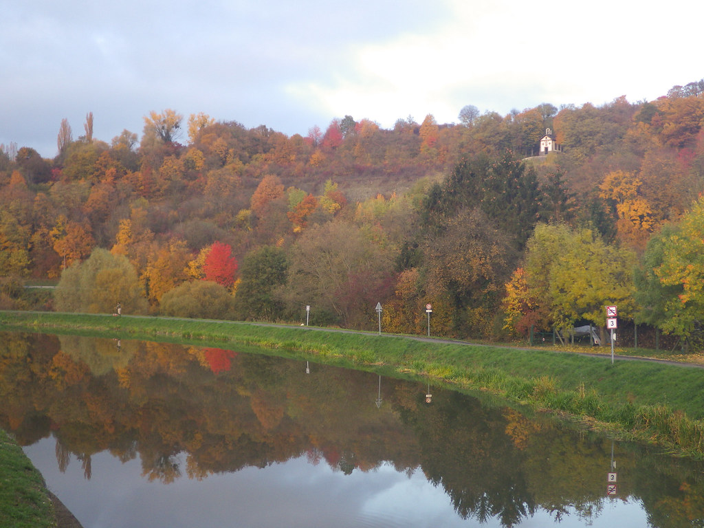 Bord de Sarre [Explored] a photo on Flickriver