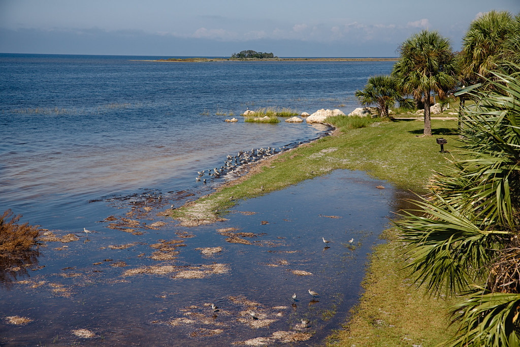 Hagen's Cove, Big Bend WMA a photo on Flickriver