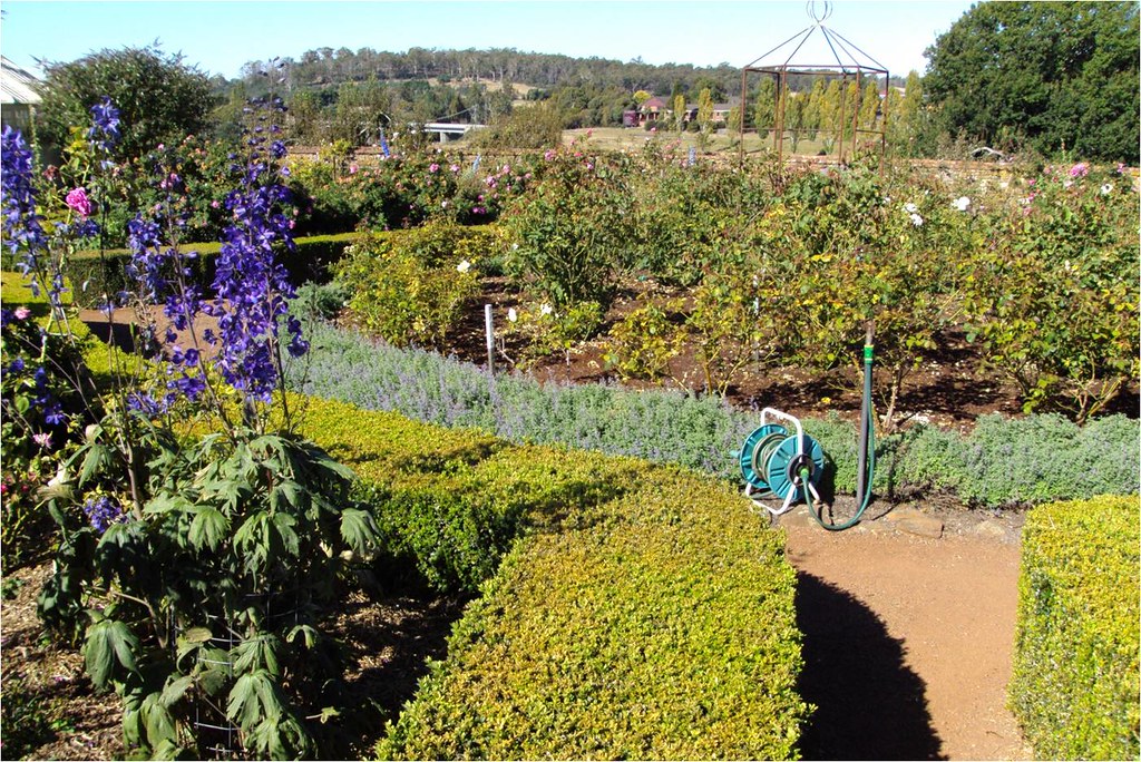Launceston. Pretty hedged garden beds at Entally House at … Flickr