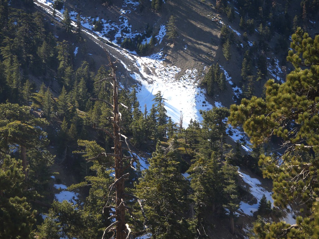 BNTM 30 A view of Thunder Mountain slopes from the trail t… Flickr