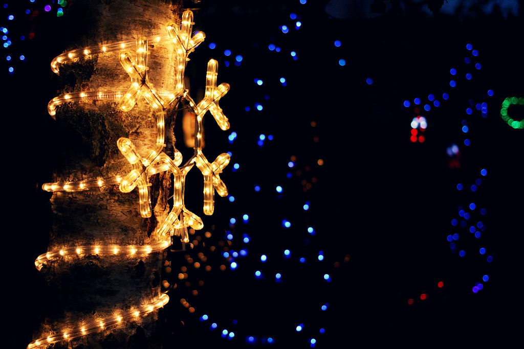 354/365 Harrowfield Drive Christmas Lights 20 December … Jaime