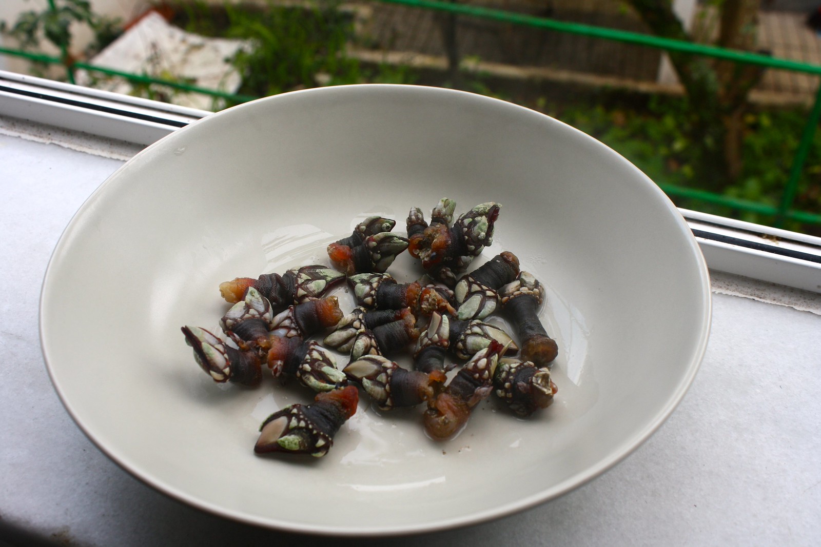 The 7 Most Unusual Things I’ve Eaten in Spain