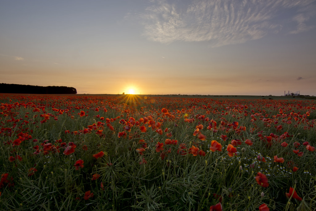 Elevation of Athersley South, Barnsley S71 3ST, UK Topographic Map Altitude Map