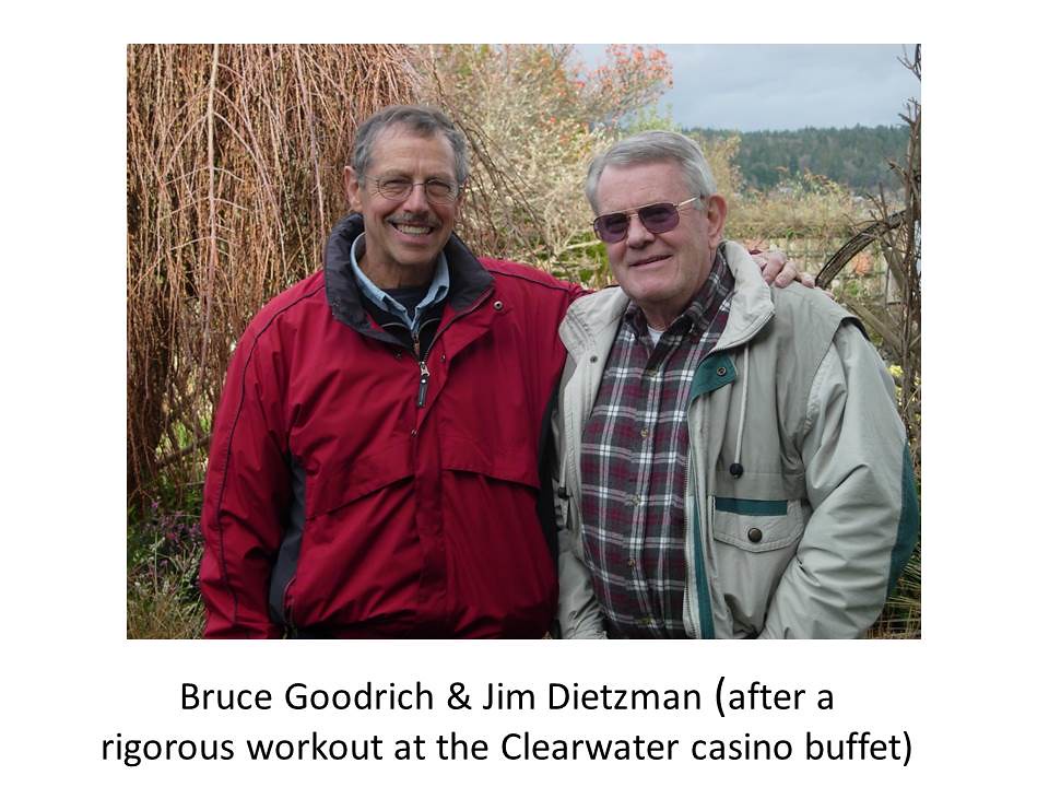 Slide40 Bruce Goodrich Flickr