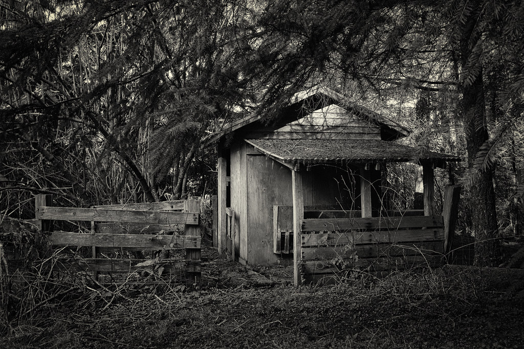 Hen House Hen house in the woods CatDancing Flickr