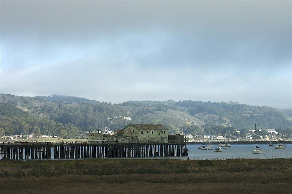 PrincetonbytheSea Swedg Flickr