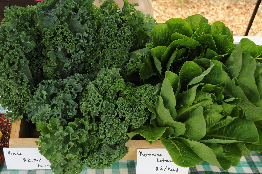 DSC_0037 Putney Farmer's Market, Sunday 102, Putney VT Putneypics Flickr