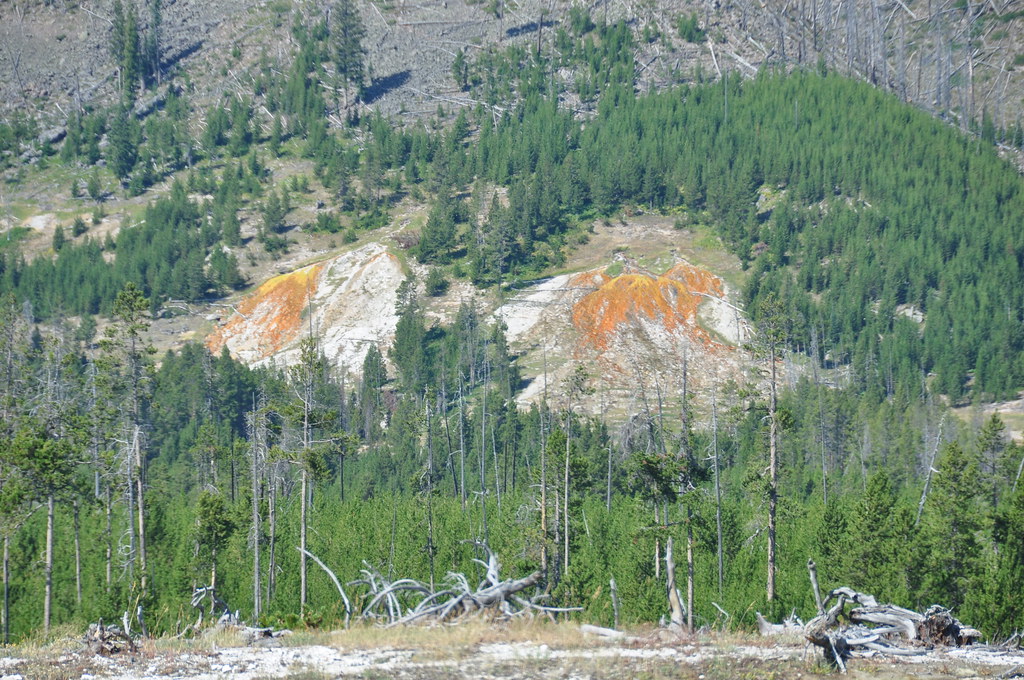 Hillside Springs (12 August 2013) 4 The Hillside Springs c… Flickr