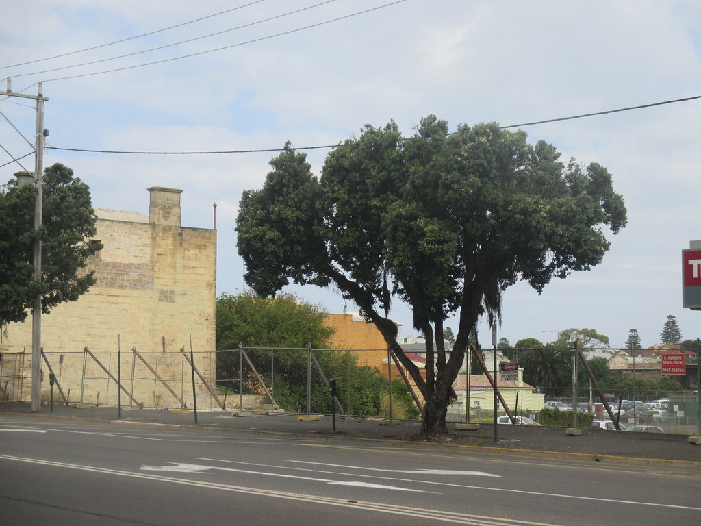 criterion site kepler st_7484 gervo1865_2 LJ Gervasoni Flickr