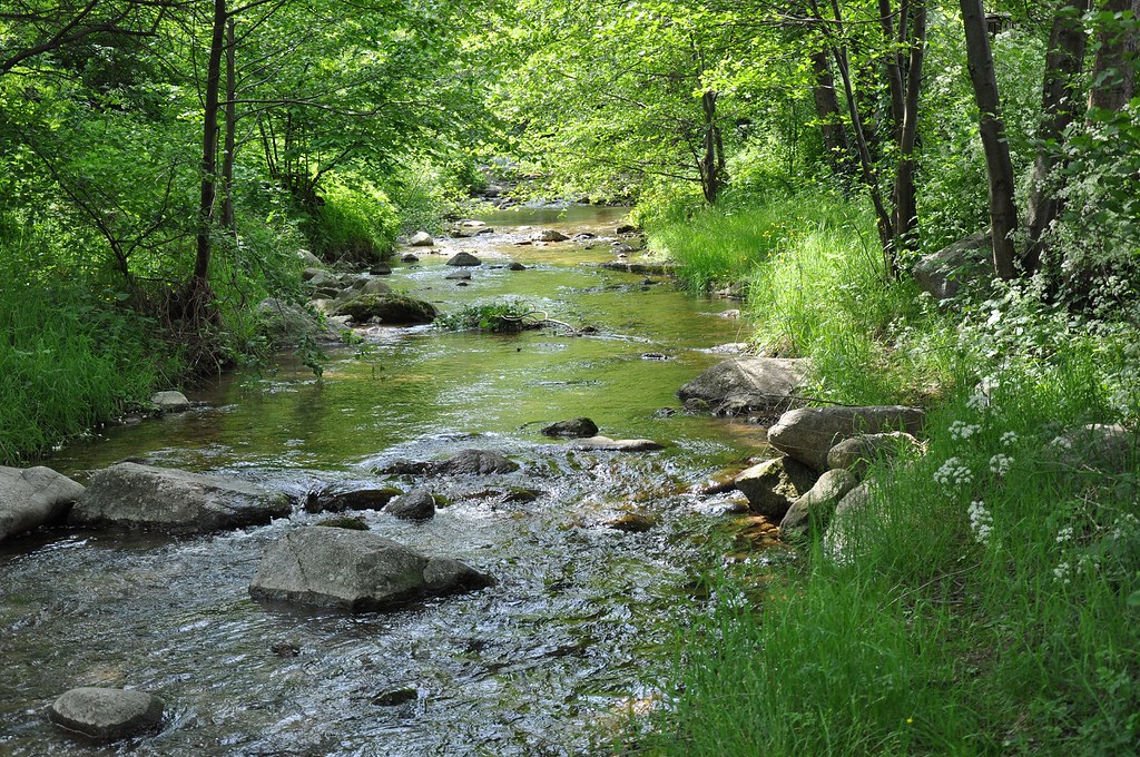 Rivière SaintJeanduGard © Cévennes Tourisme Modestine L'ânesse des Cévennes Flickr